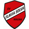 Flavia Solva logo