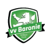 Baronie logo