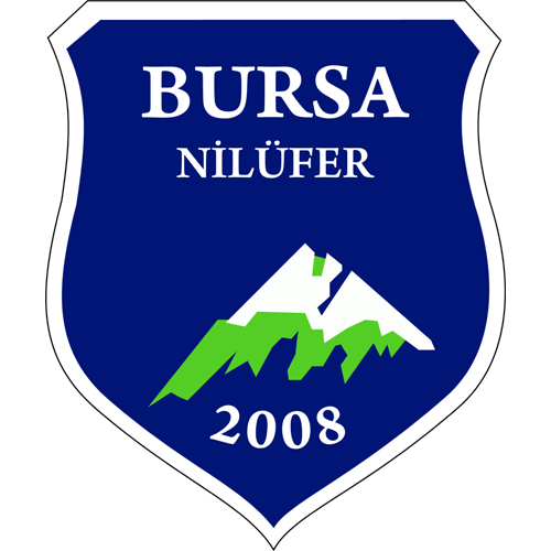 Karacabey Birlikspor logo