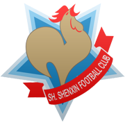 Shanghai Shenxin logo