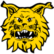 Ilves logo