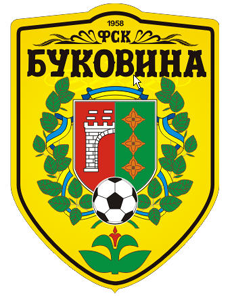 Bukovyna logo