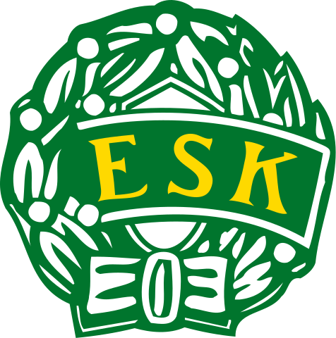 Enkoping logo