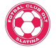 Slatina logo